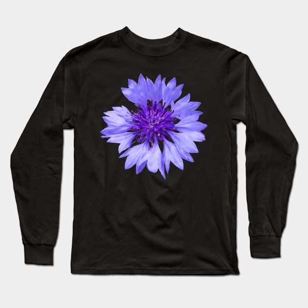 blue cornflower, flower, flowers, blossom, garden Long Sleeve T-Shirt by rh_naturestyles